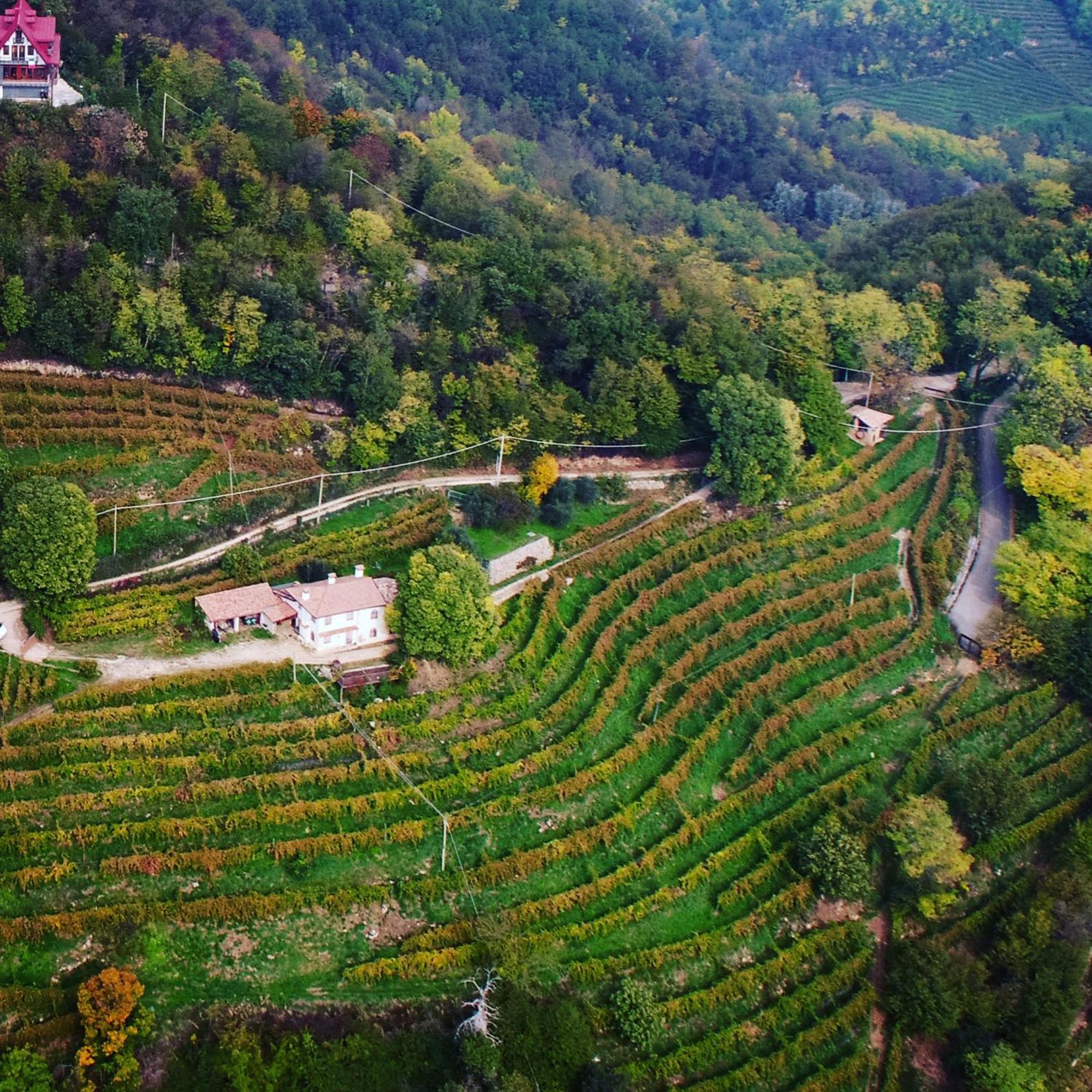 Rustico Costa D'Oro Villa Farra di Soligo Exterior foto